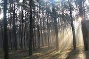 14-20 июня 2014 - Бюджетный ретрит под Харьковом, Печенежское водохранилище, харьков, хатха-йога, йога, йога-студия, йога 23, yoga23, yoga 23, цигун, илицюань, массаж, пилатес, танцы, трайбл, дом солнца, медитация, индивидуальные, занятия, тренировки, лфк, для детей, кундалини-йога